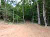 img_20190601_161633108_small.jpg