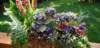 _091435_small.jpg