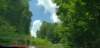 _135714_small.jpg