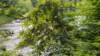 _154802_small.jpg