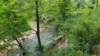 _155220_small.jpg