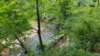 _155222_small.jpg