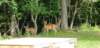 _162052_small.jpg