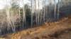 _153532_small.jpg