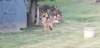tim_lisa_652026_a_small.jpg