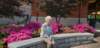 _104531_small.jpg