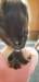 _123634_small.jpg