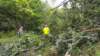 _092247_small.jpg