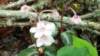 _092435_small.jpg