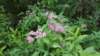 _092753_small.jpg