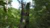 _111933_small.jpg