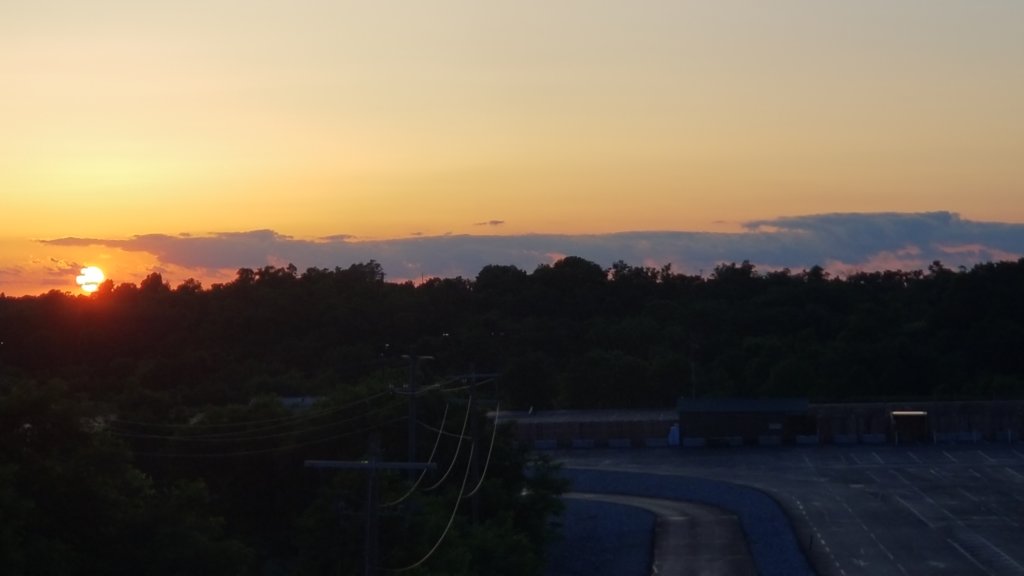 _204809.jpg