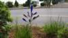 _073550_small.jpg