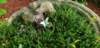_085708_small.jpg
