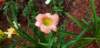 _085811_small.jpg