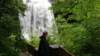 _101744_small.jpg