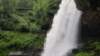 _102635_small.jpg
