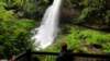 _102833_small.jpg