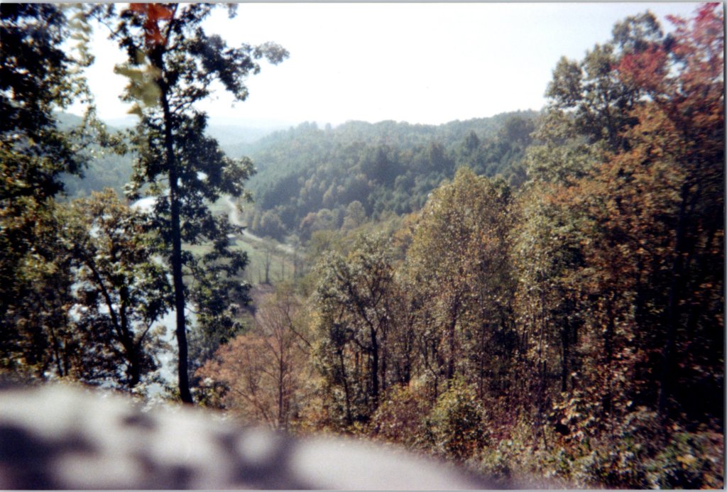 document_20220108_0013.jpg