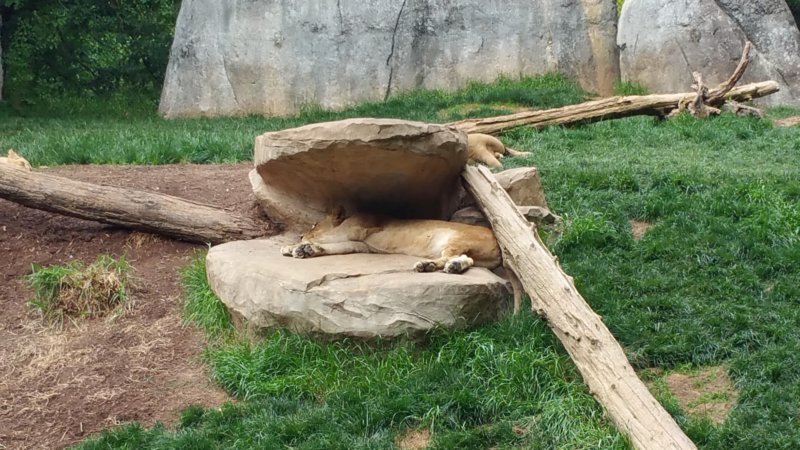 _102406.jpg