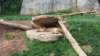 _102406_small.jpg