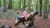 _104005_small.jpg