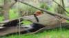 _104239_small.jpg