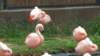 _105423_small.jpg