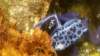 _105651_small.jpg