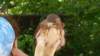 _135423_small.jpg