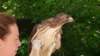 _135434_small.jpg