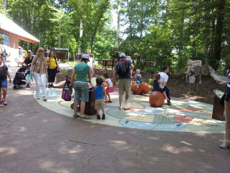 photo15.jpg